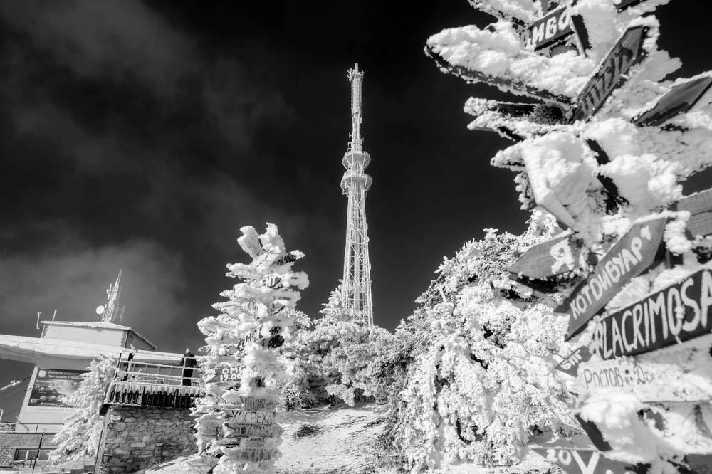 Photograph by Владимир Ганзиков