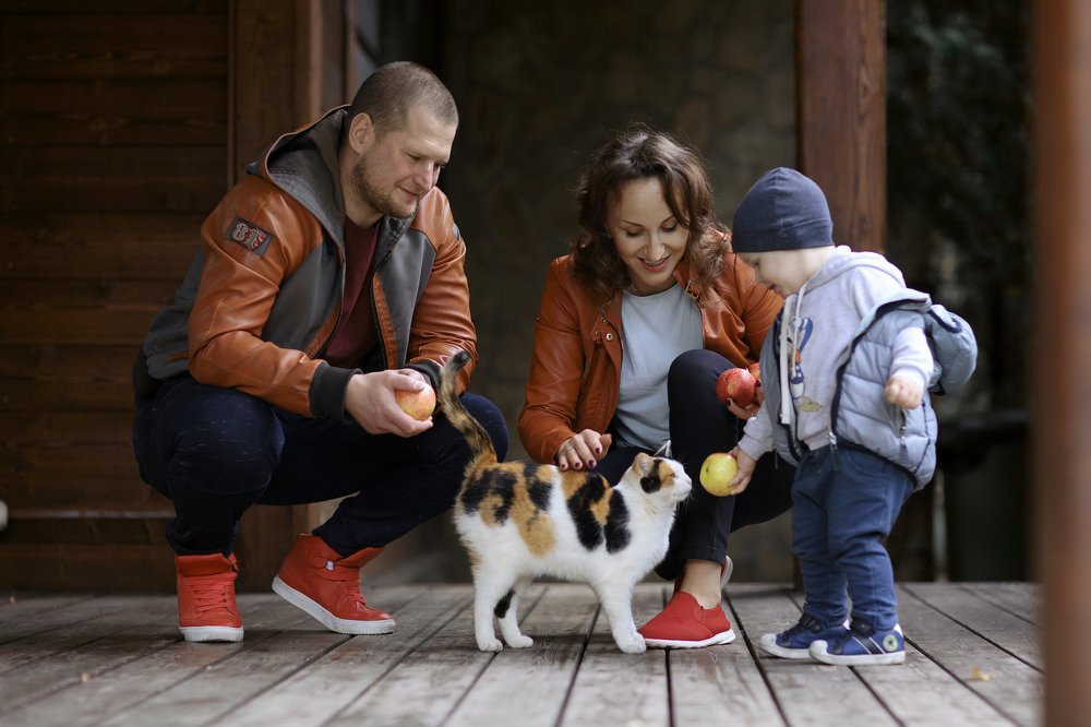 Photograph by Мила Гусева