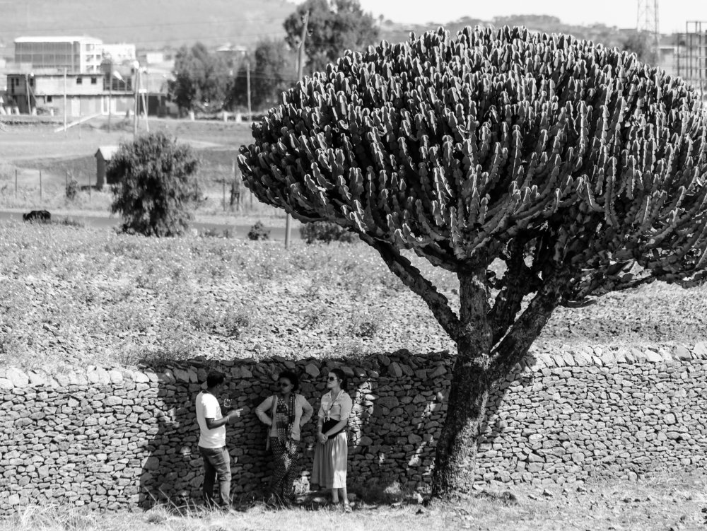 Photograph by viviane decock