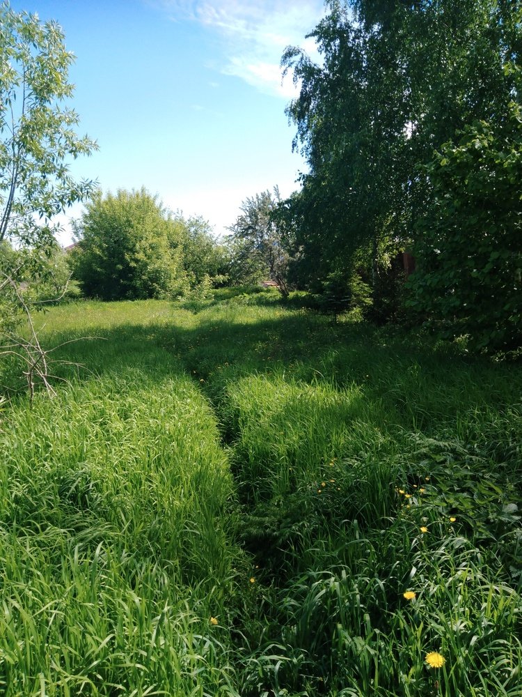 Photo #4187392