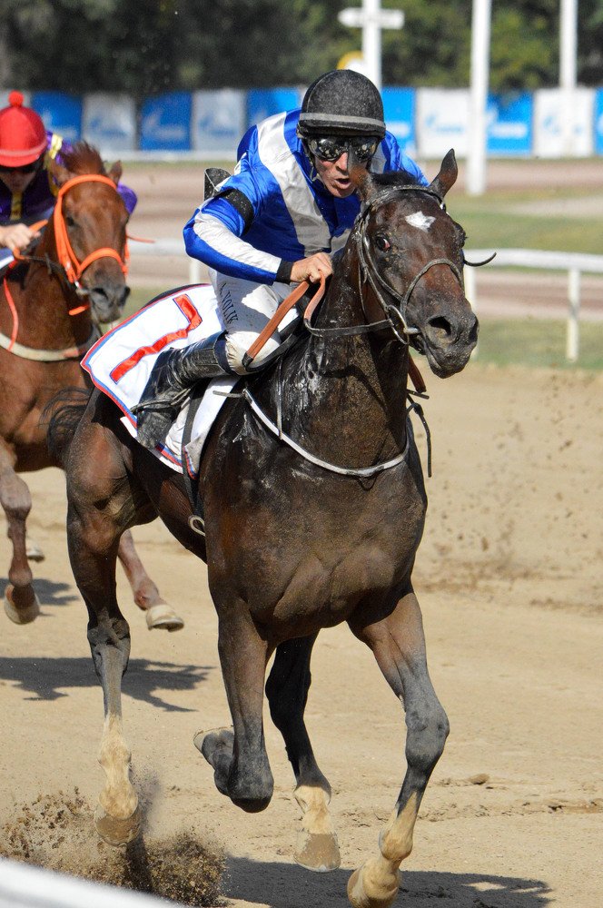 Счастливый номер