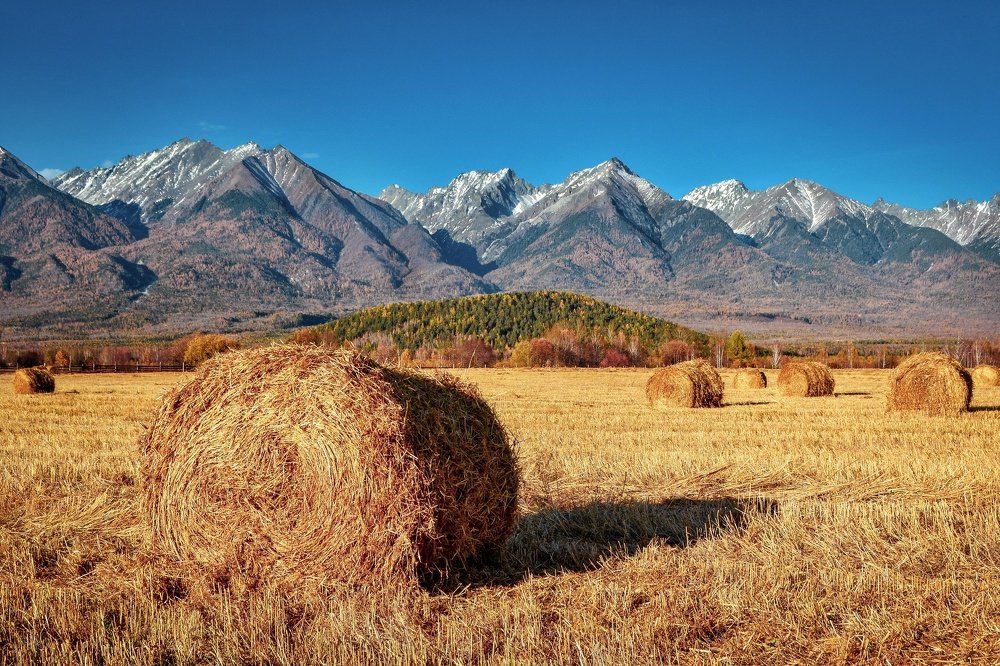 Золото Аршана