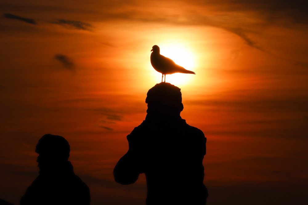 Photograph by Andy Rivera