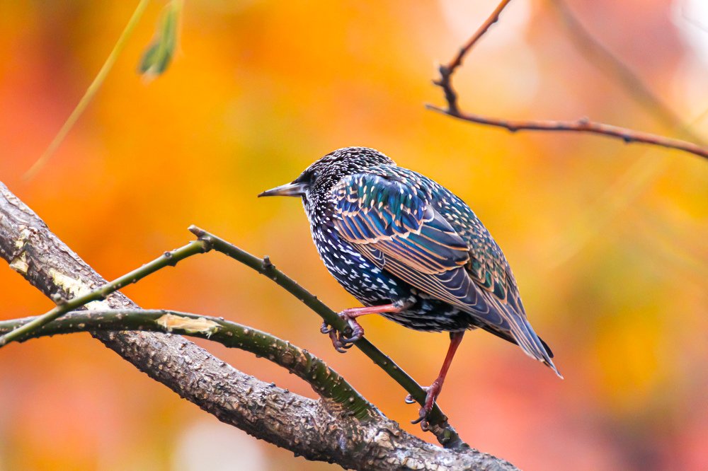 Photograph by Andy Rivera