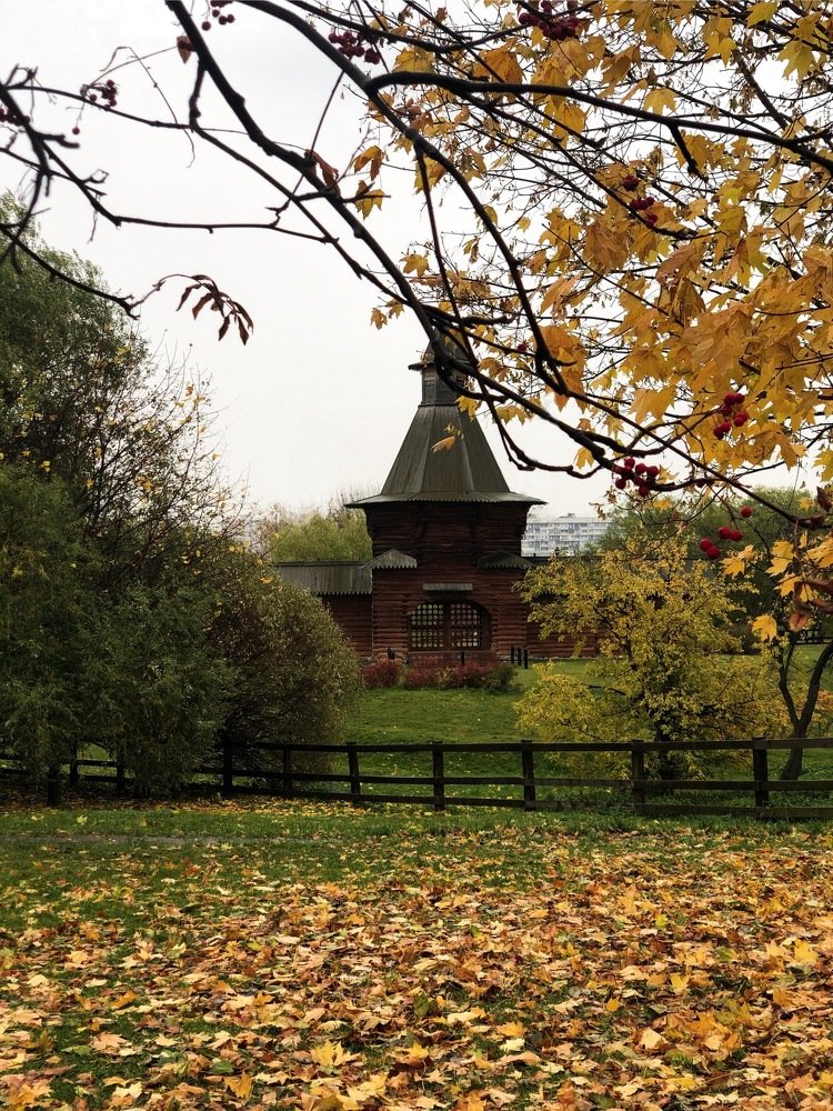 Photograph by Надежда