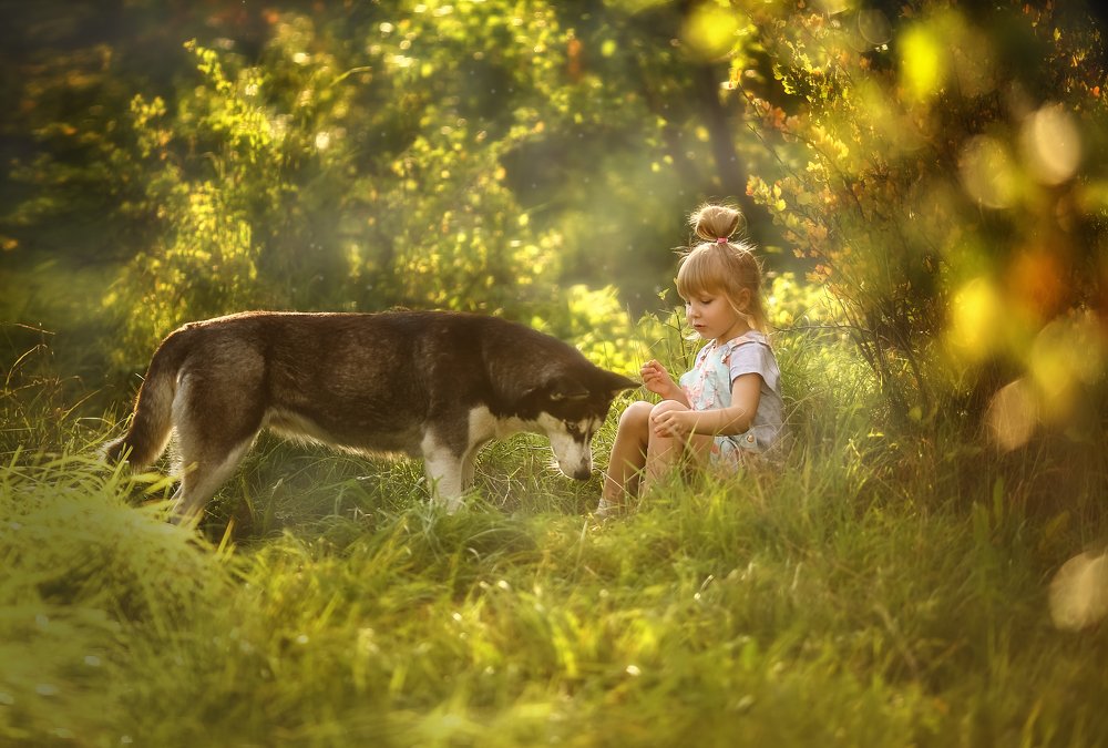 Фотография автора Ольга Клипина