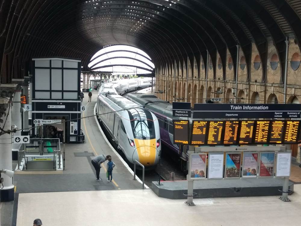 every king bows down to his little one's wondering