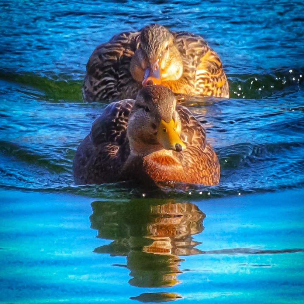 Photograph by Andy Rivera