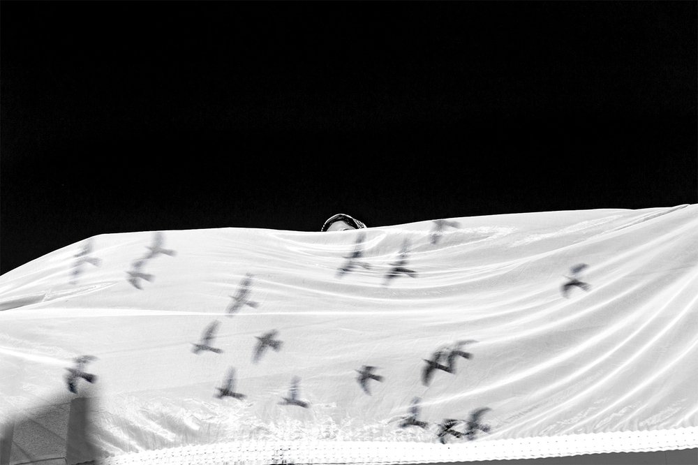 Photograph by Taghi (farzad) Hamidimanesh