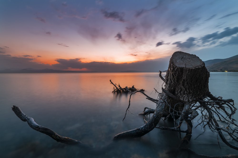 Photograph by Inga Avanesova