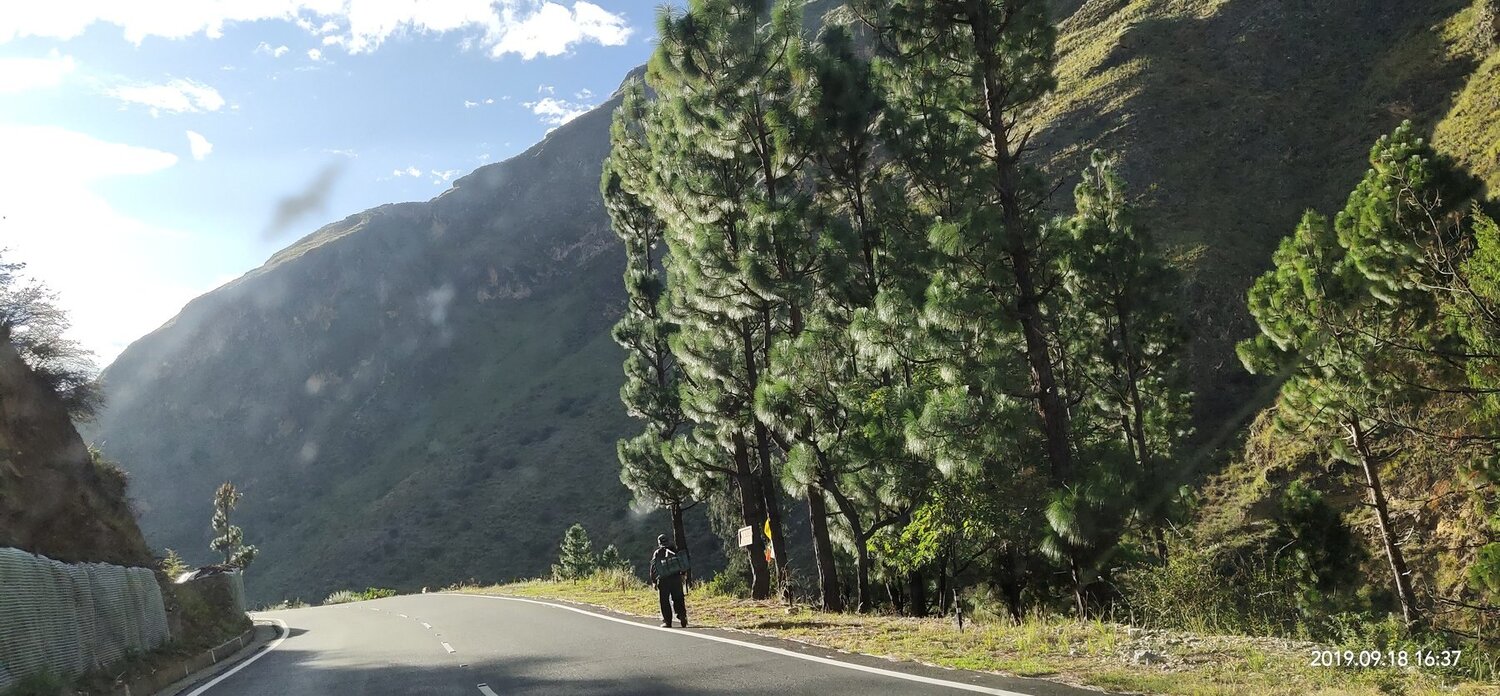 Photo #4188032