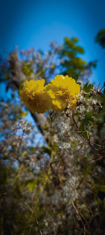 Photo #4188042