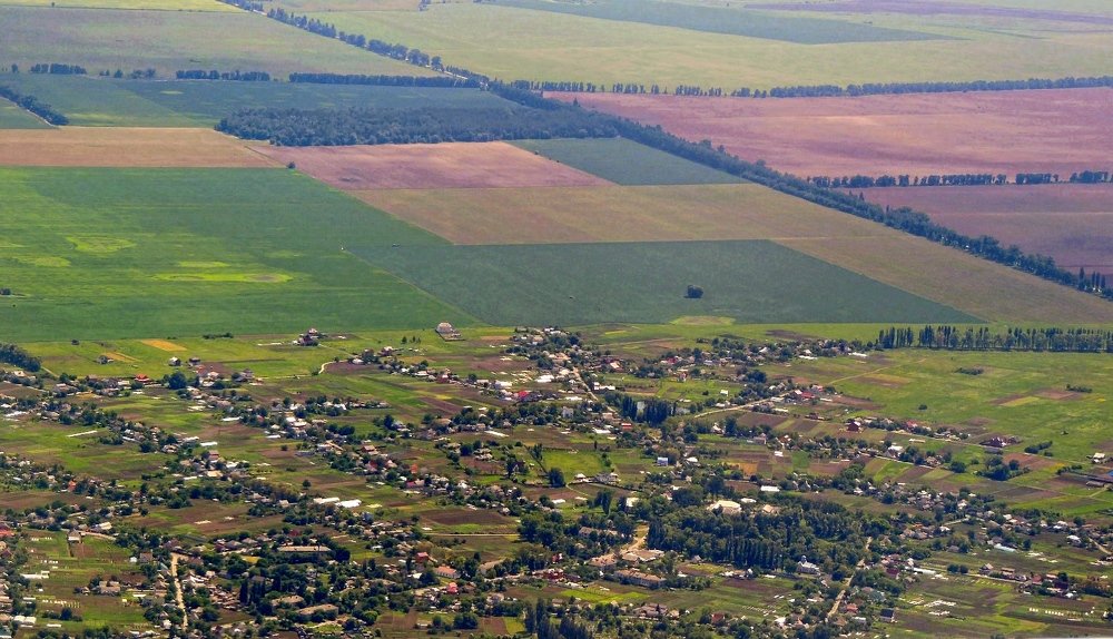 Фотография автора Роман Савоцкий