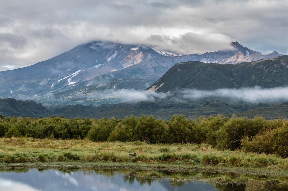 Photograph by Александр Поборчий