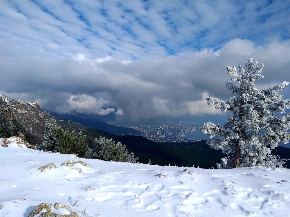 Photo #4188256