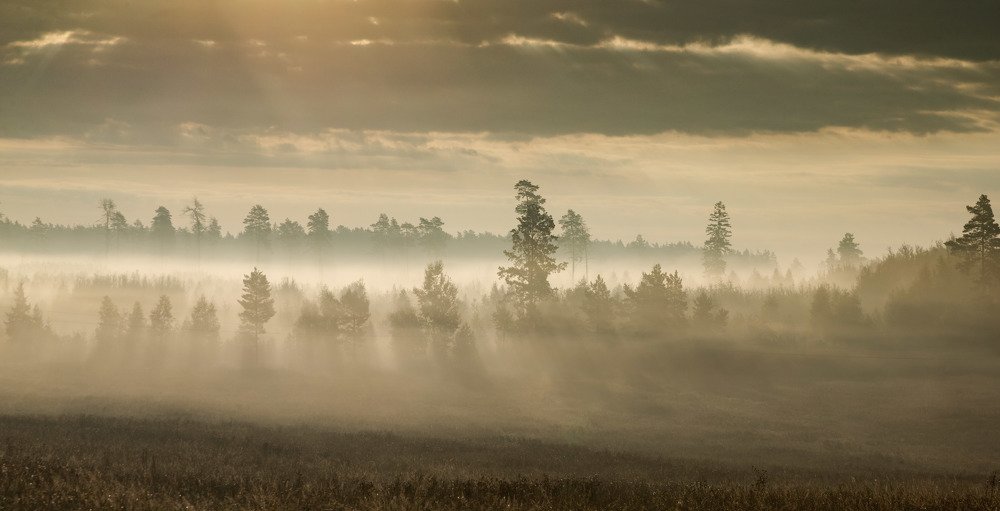 Photograph by Александр Есликов