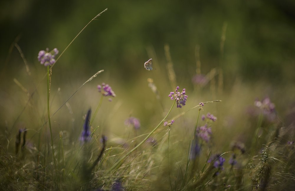 Photograph by  Андрей