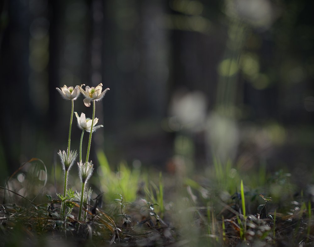 Photograph by  Андрей