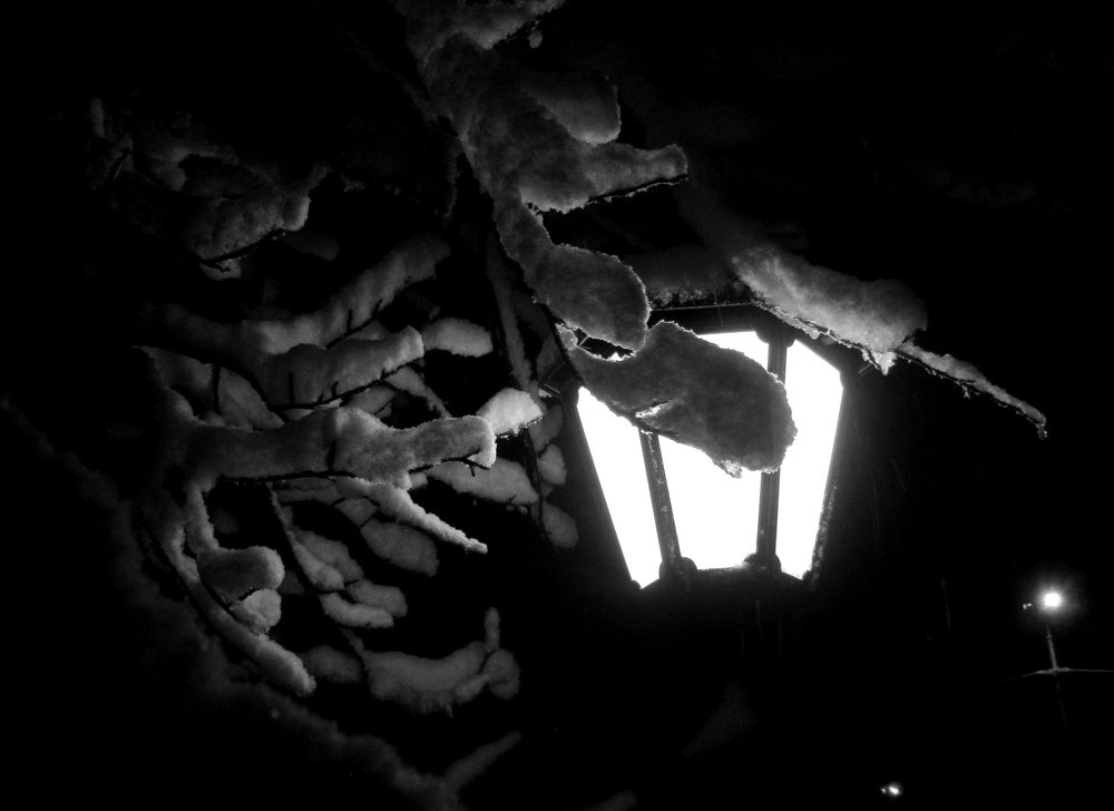 Photograph by Ирина Чечкина