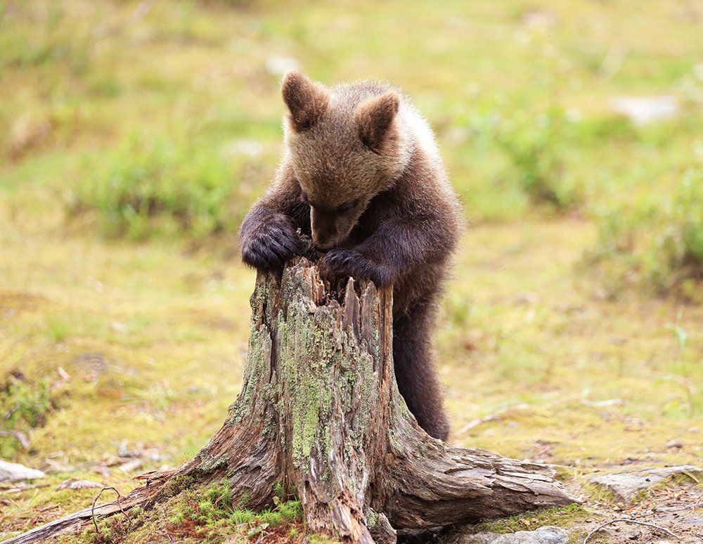 Photograph by Valtteri Mulkahainen
