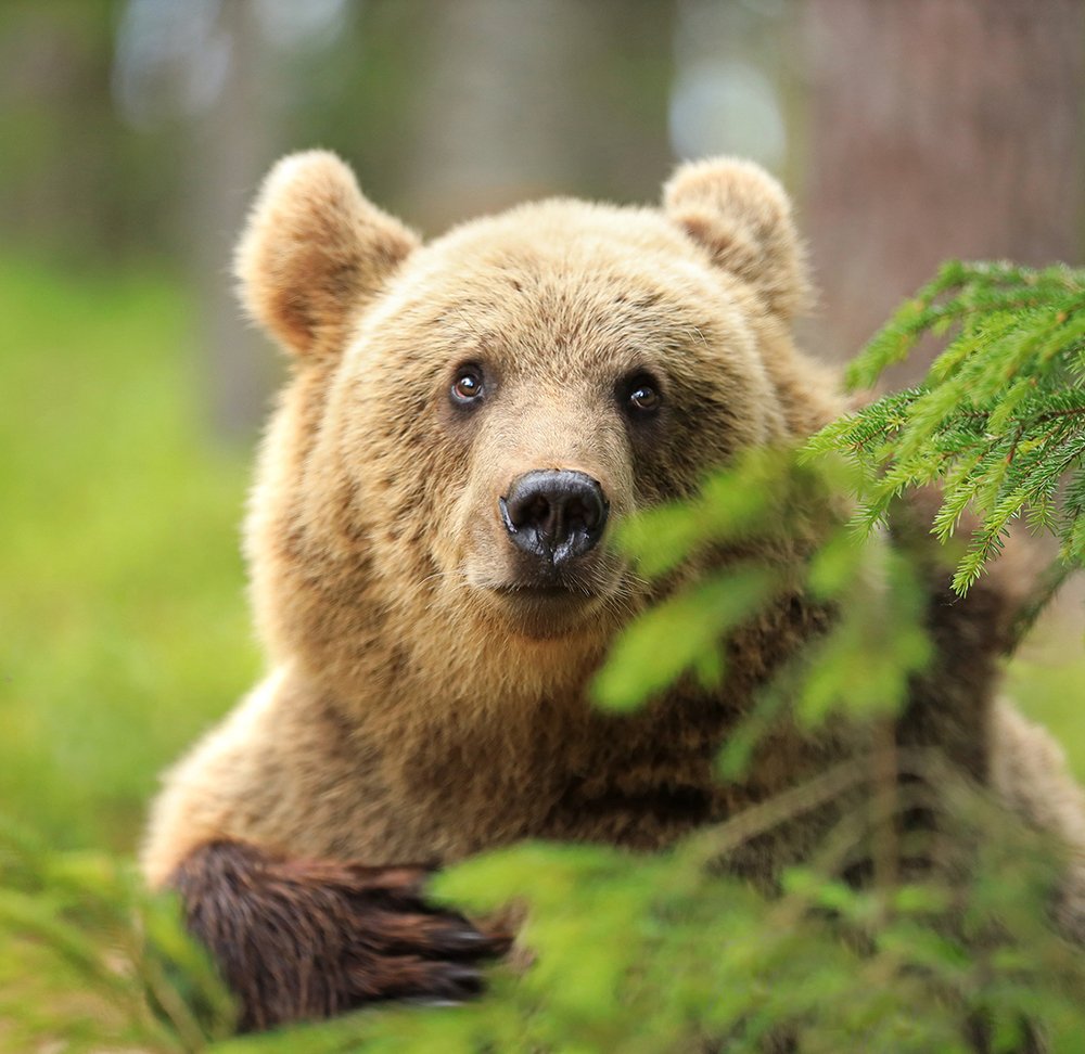 Photograph by Valtteri Mulkahainen