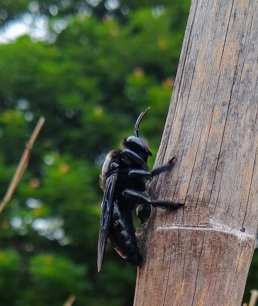 Photograph by Arun Kumar