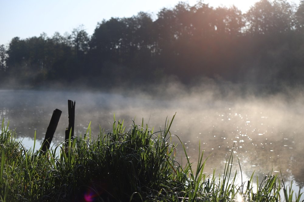 Photograph by Татьяна Мазок