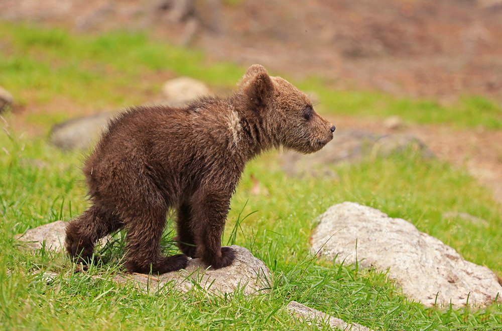 Photograph by Valtteri Mulkahainen
