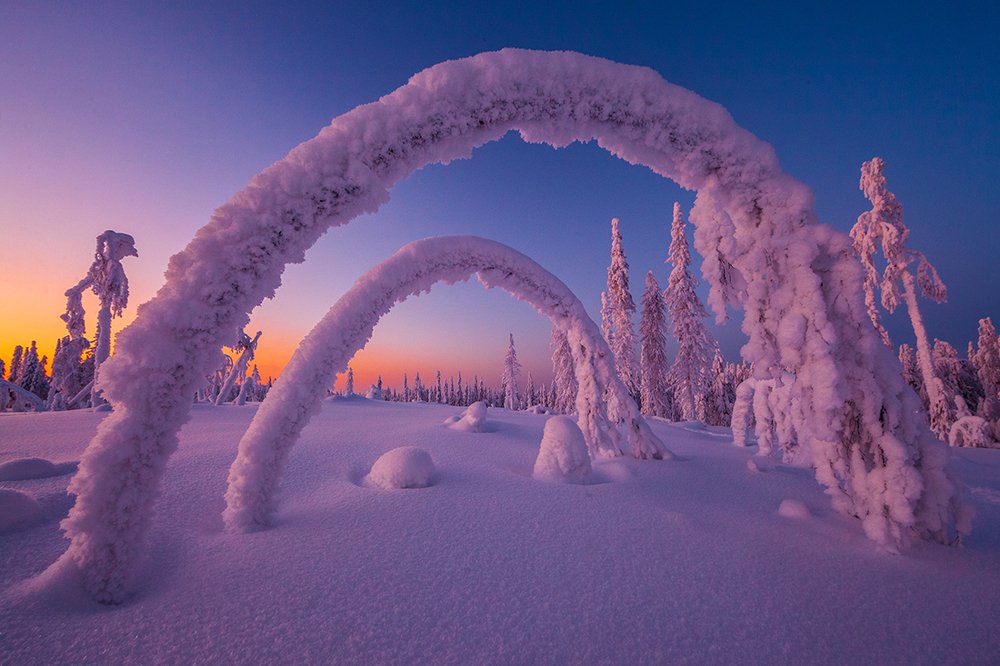 Ворота в зиму.