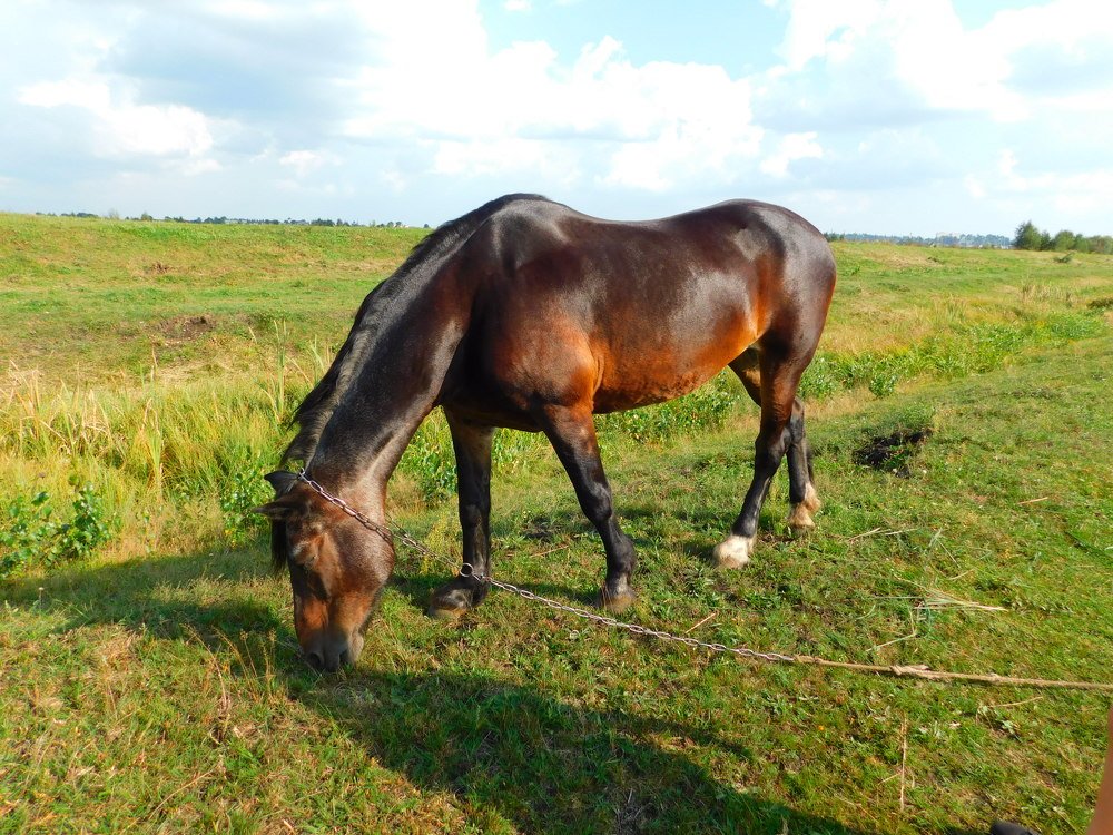 Photograph by Олеся Бронзова