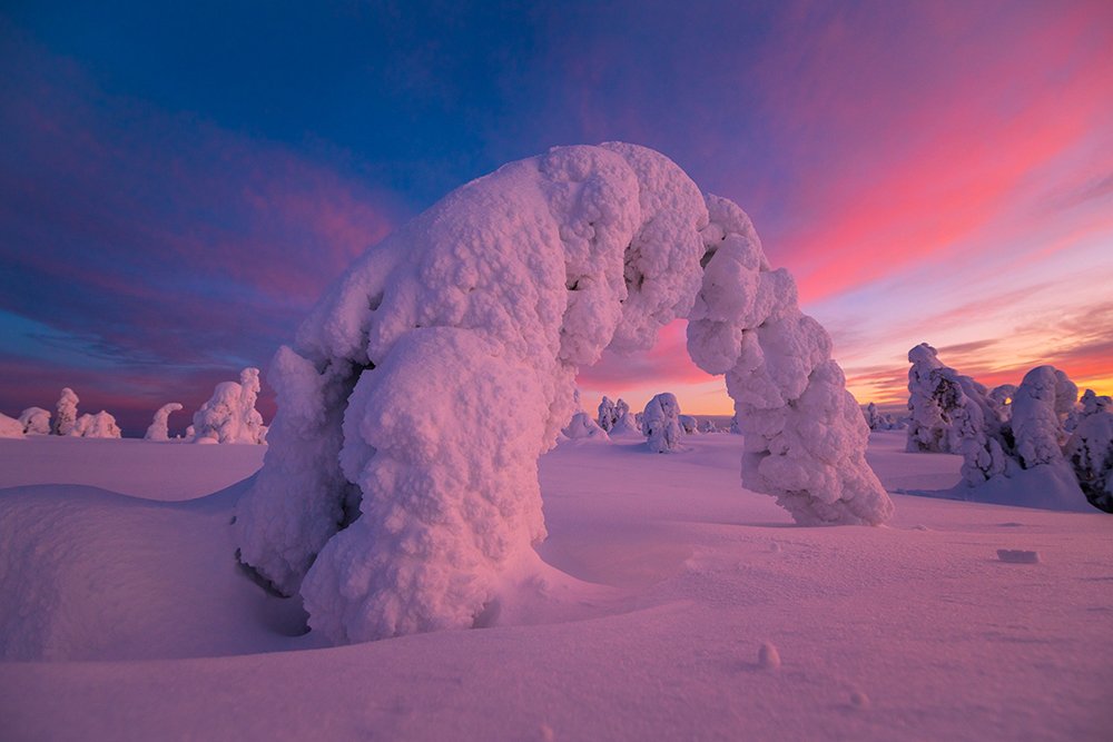 Поклон уходящему дню.