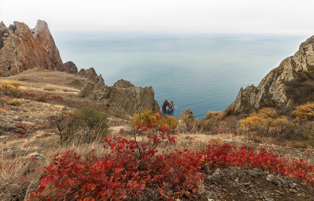 Photograph by Владимир Бочковский