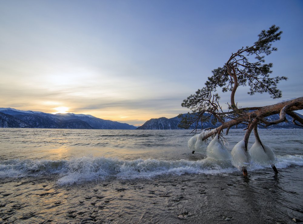 Летящая над волнами.