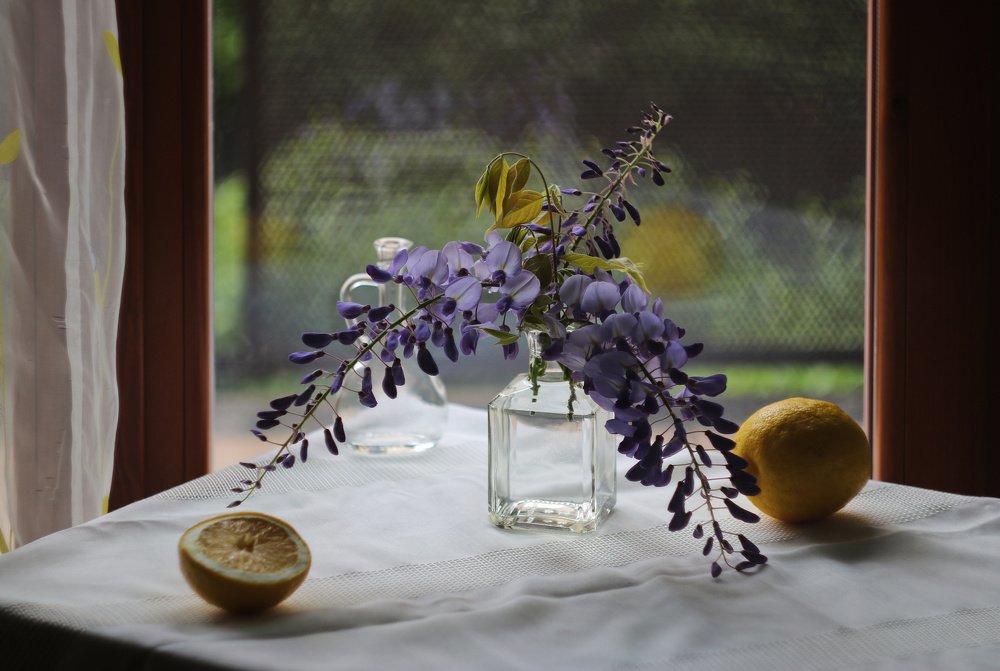 Photograph by Olga Moshnikova