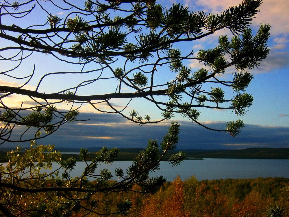 Photograph by Ирина Чечкина