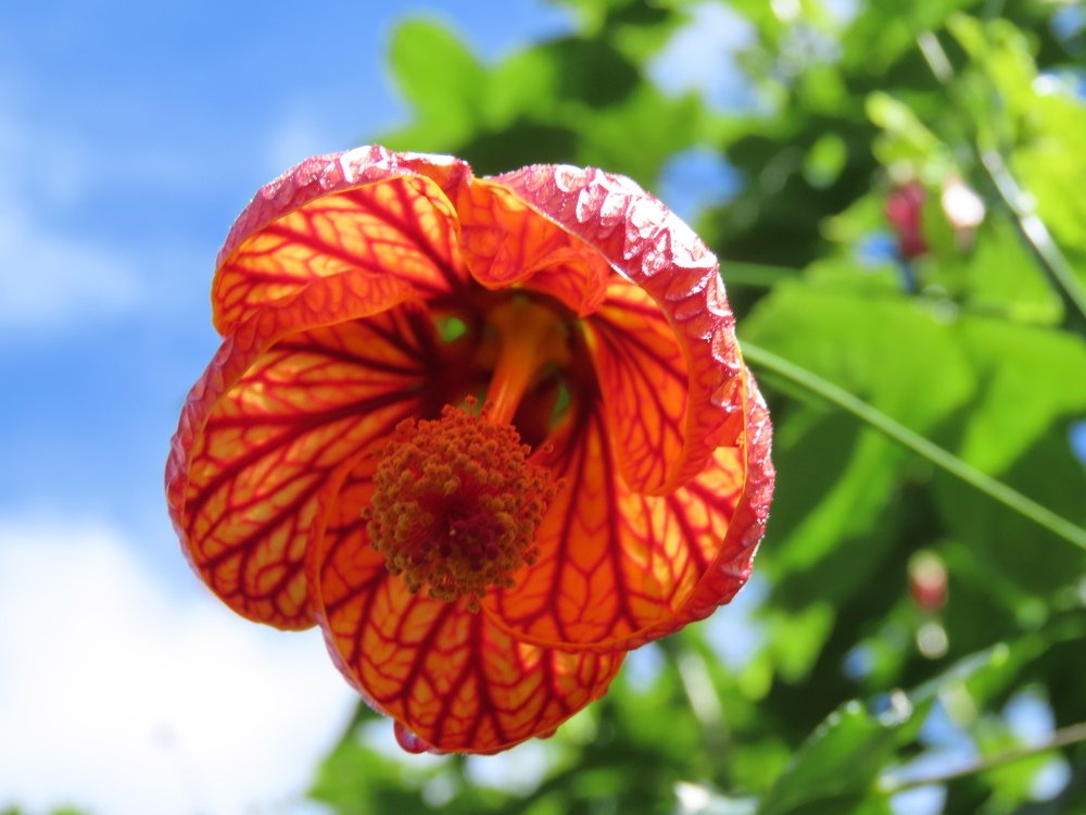 Photograph by Jorge Peñafiel