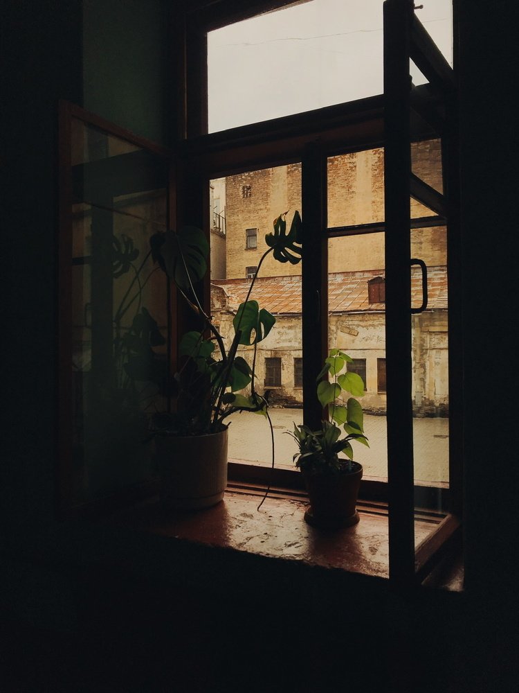 Photograph by Синицына Юлия