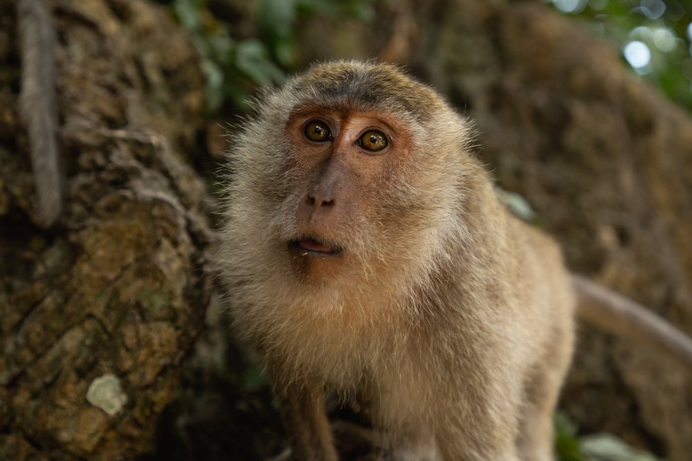 Photograph by Алексей Кашин