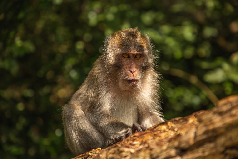 Photograph by Алексей Кашин