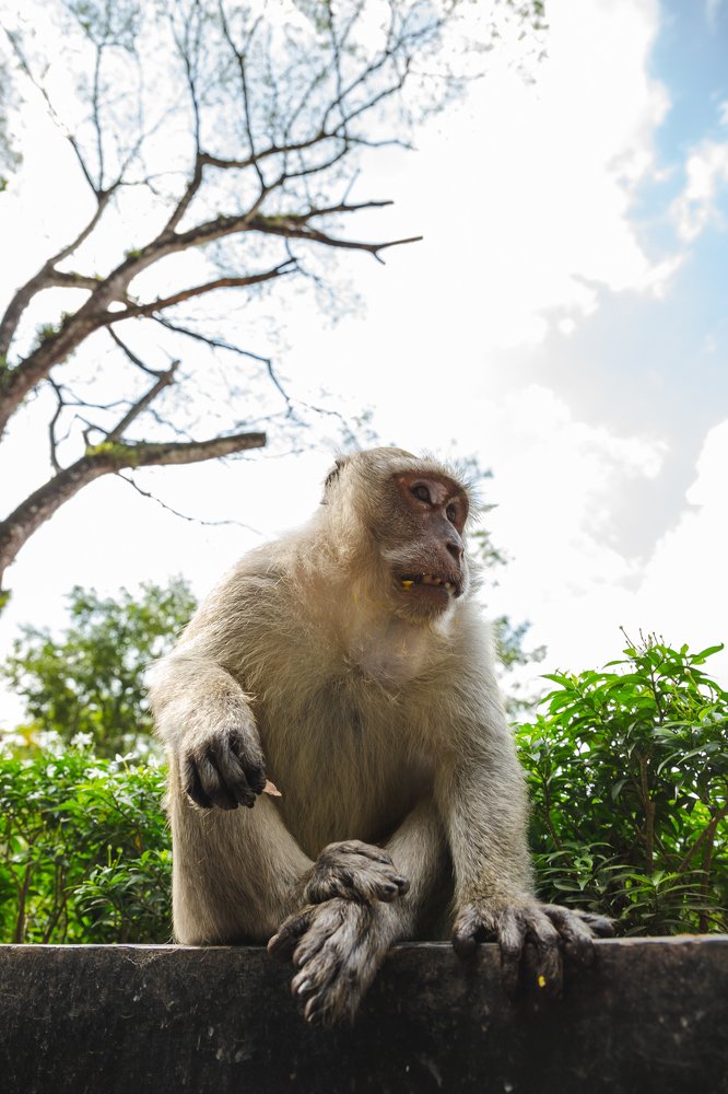 Photograph by Алексей Кашин