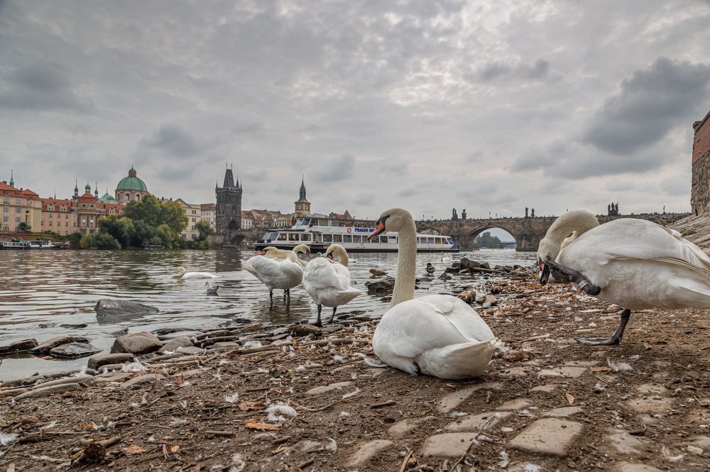 Фотография автора Виктор Вагнер