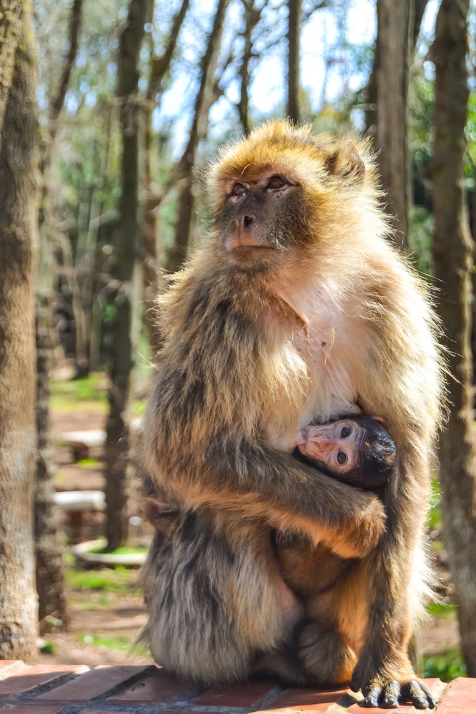 Photograph by Kacem Daddi Bouhoun