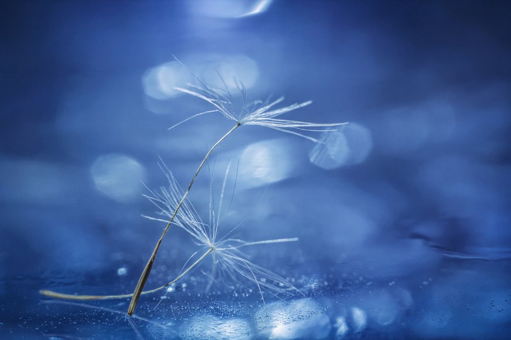 Ледниковый период