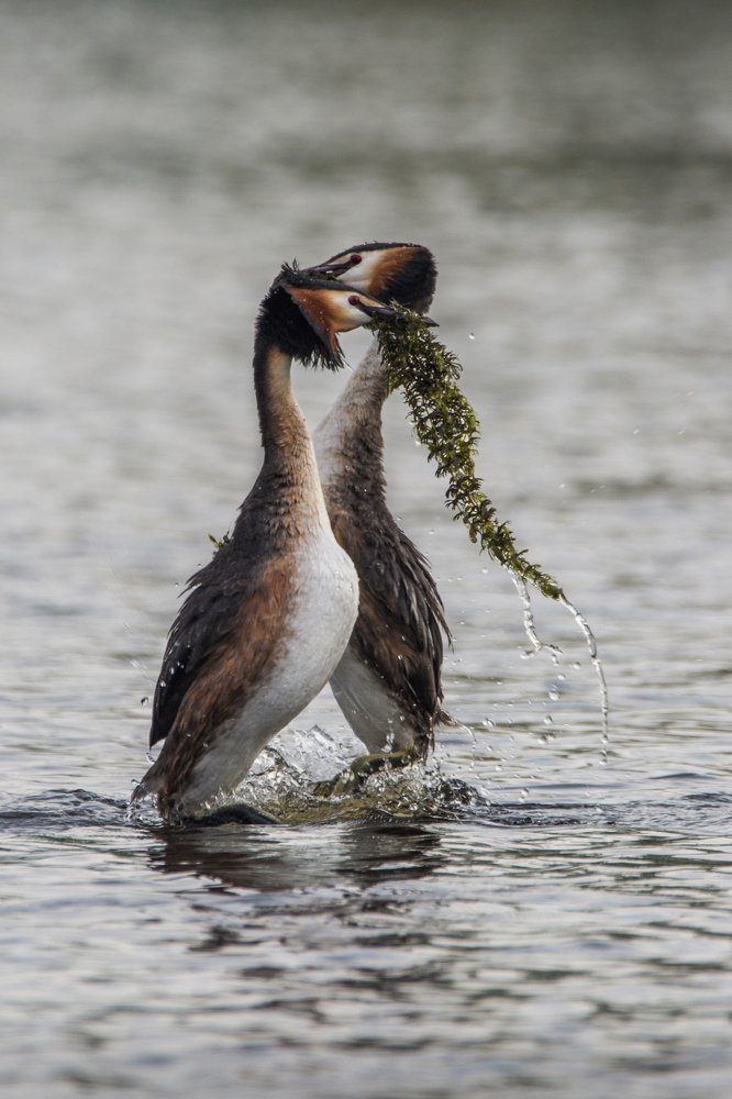 Фотография автора Татьяна Ливеровская