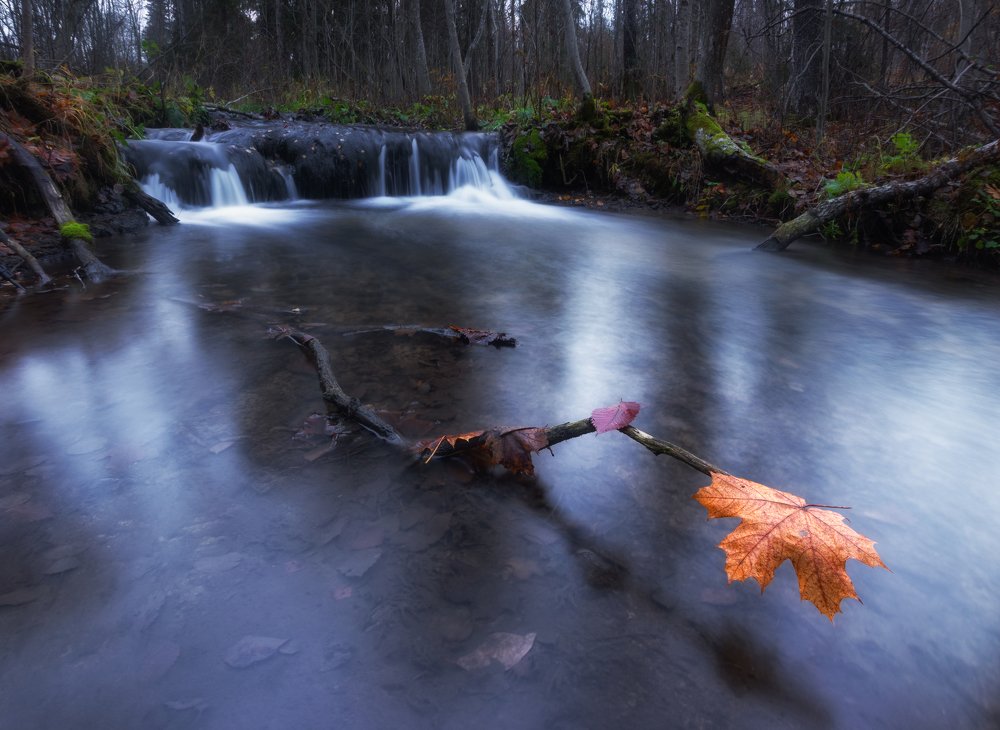 Photograph by Андрей Олонцев