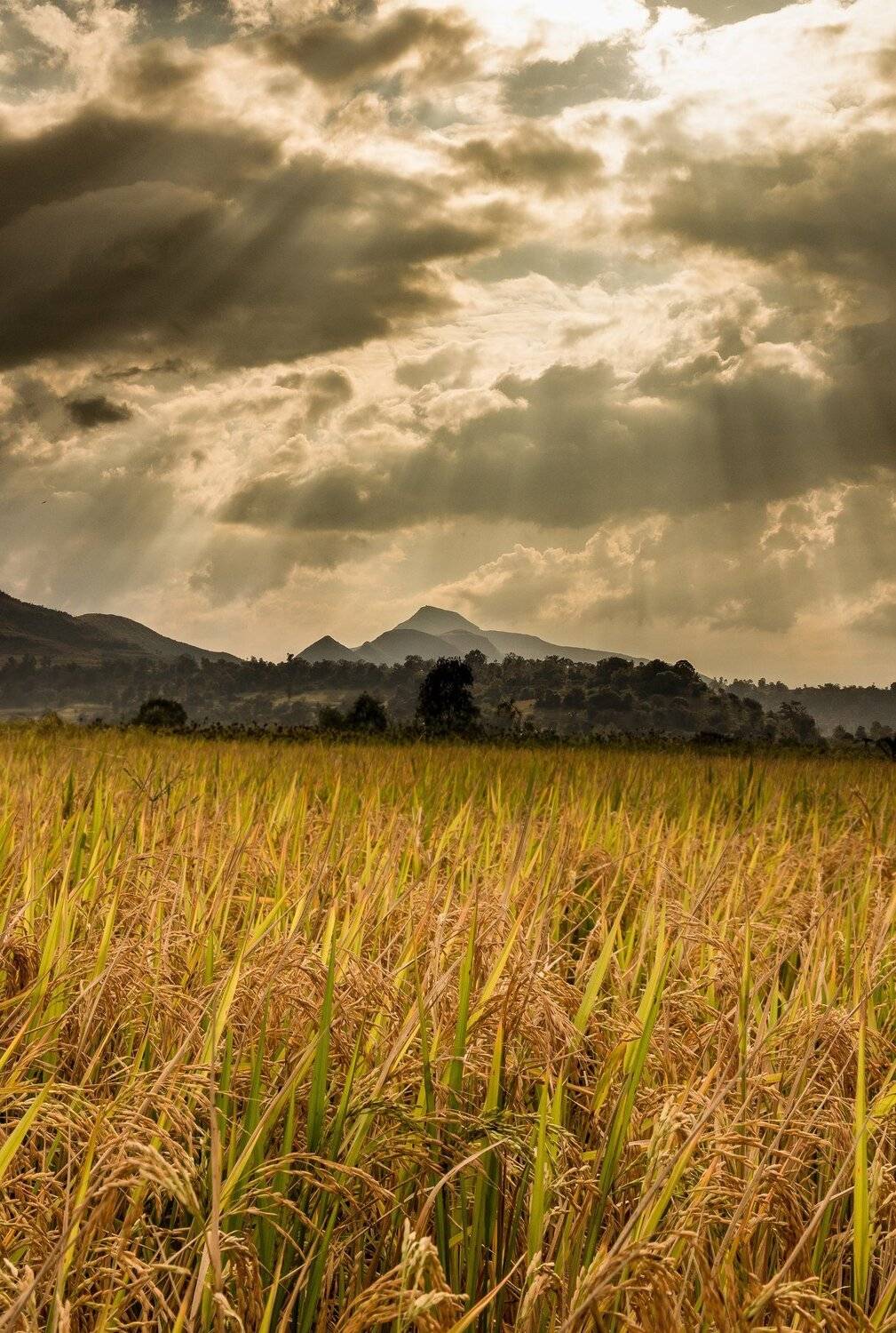 Earth Sky and Light