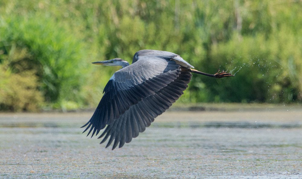 Фотография автора Татьяна Ливеровская