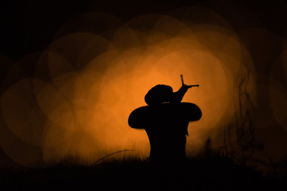 Photograph by Татьяна Пименкова