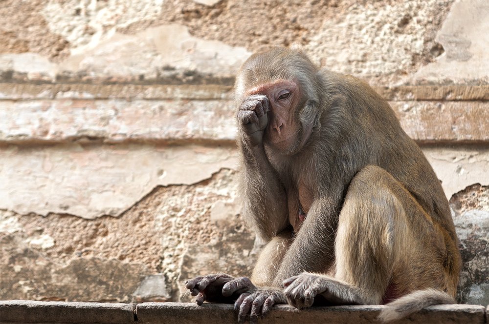 Photograph by Mark Frederick Jereos