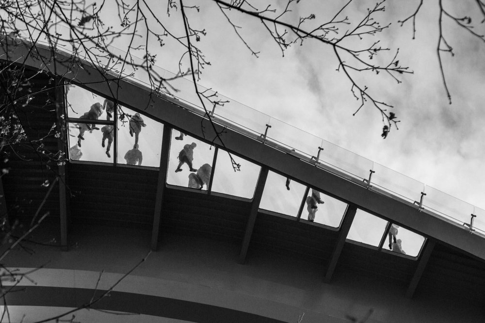 Photograph by Ольга Федорова